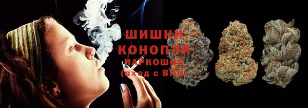 прущие грибы Куйбышев