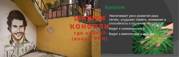 прущие грибы Куйбышев