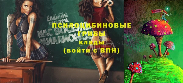 прущие грибы Куйбышев