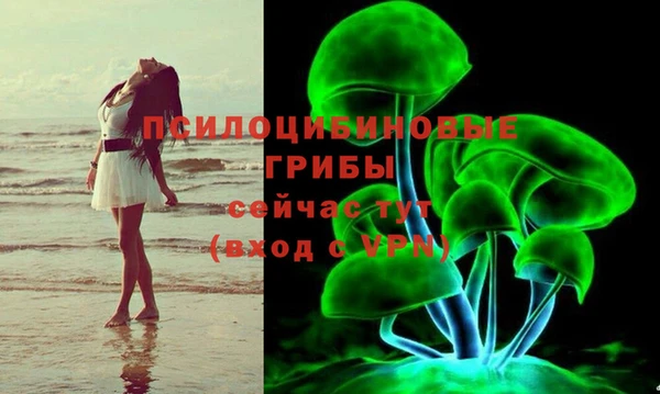 Альфа ПВП Краснослободск