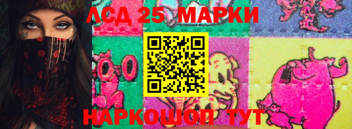 Тара  Лсд 25 экстази ecstasy  Вход с VPN  Лсд 25 экстази ecstasy 
