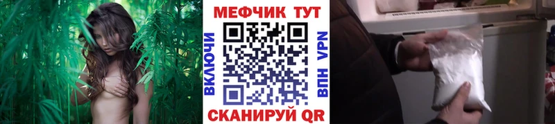 сколько стоит  Тара  МЕФ мяу мяу 