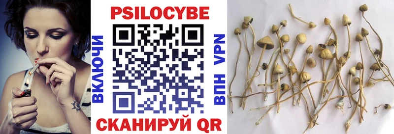Псилоцибиновые грибы MAGIC MUSHROOMS  Тара 