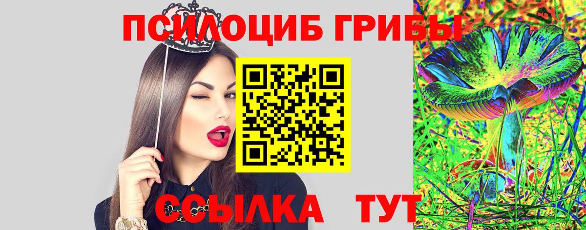 Псилоцибиновые грибы Magic Shrooms  Вход с VPN  Тара  Псилоцибиновые грибы прущие грибы 