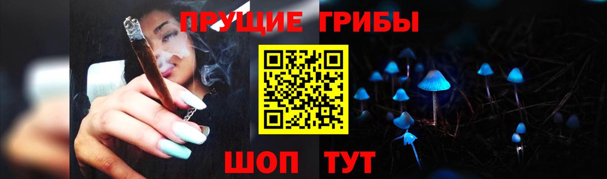 Галлюциногенные грибы Psilocybe  как найти закладки  Галлюциногенные грибы Magic Shrooms  Тара 